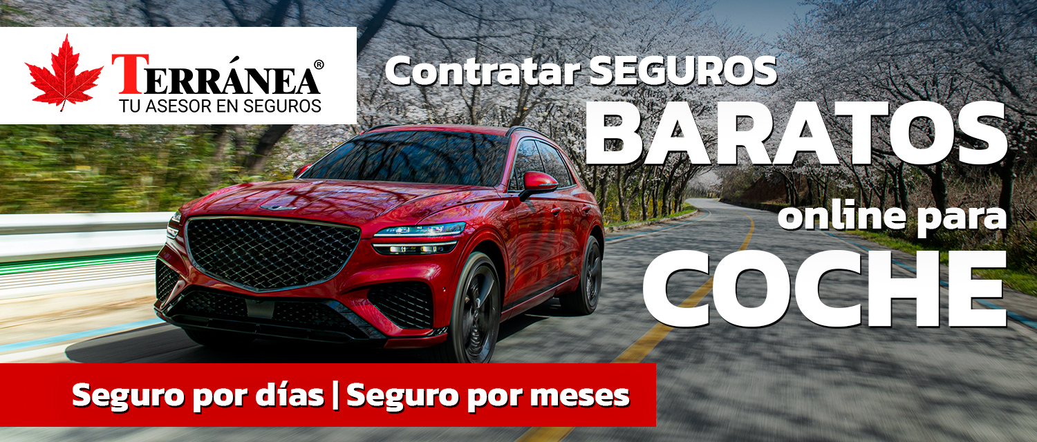 Automóvil